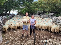 Local sheep shearers fund-raising to help Balkans farmers