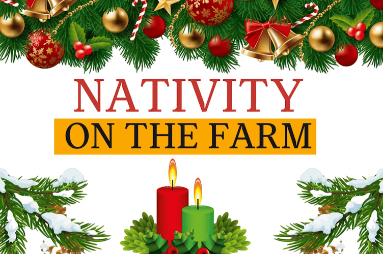 Coombe Farm in Exford will host an interactive nativity for all ages this December