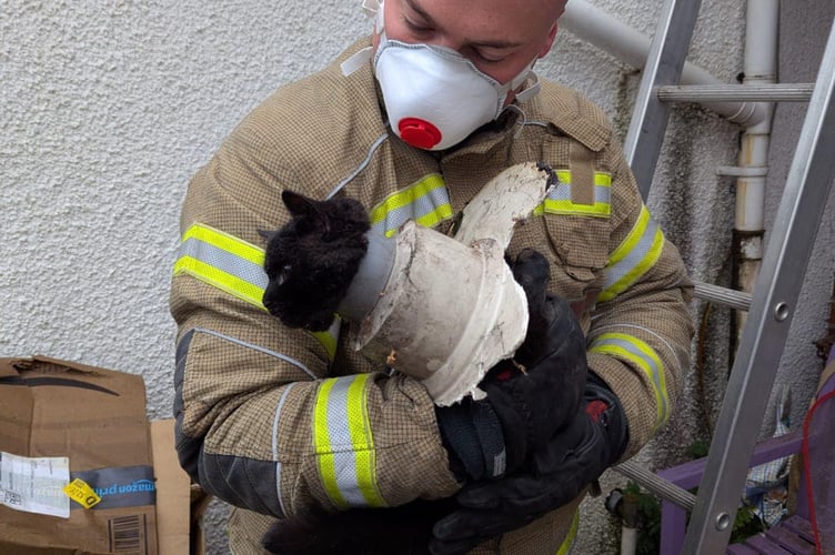 Firefighters had to cut a section of the pipe around cat John to free her. Release date November 24 2024. This is the heart-warming moment an adorable cat was rescued by firefighters after it got stuck in a drainpipe.  The female cat, called John, was found with her head poking through one end of a drainpipe in a garage in Clevedon, North Somerset, on Saturday (23/11). Firefighters were called just before 10am and used ladders to reach John - before cutting her free with small tools. 