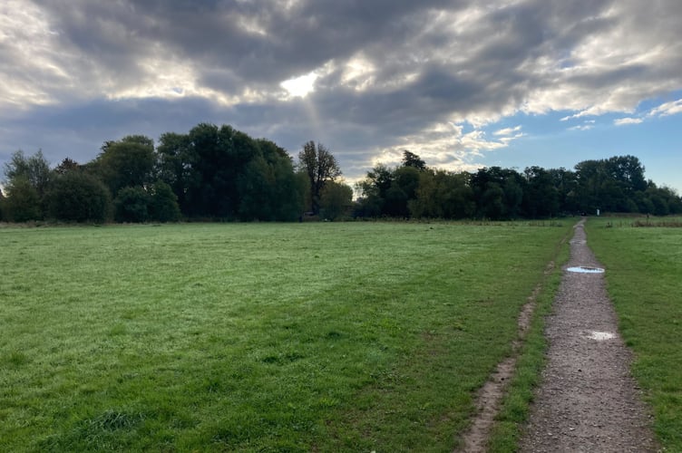 Longrun Meadow in Taunton (Photo: Daniel Mumby)