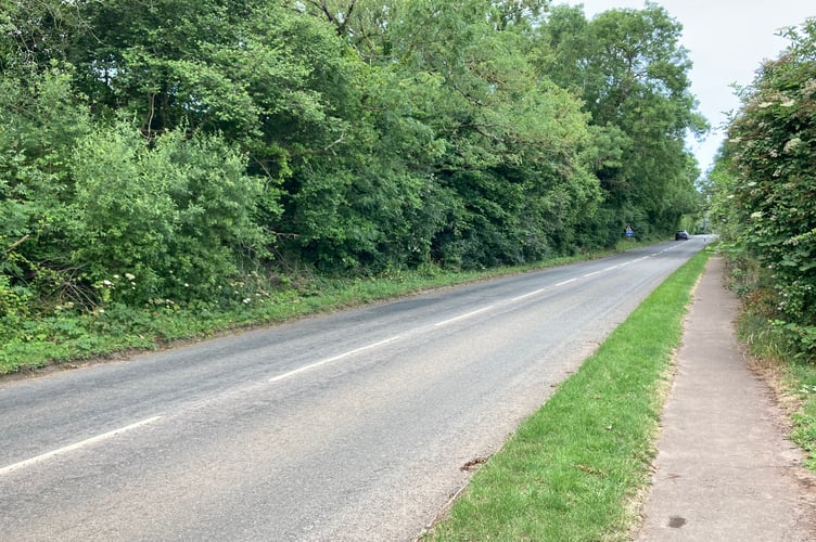 Proposed site of 60 homes on the A39 Hopcott Road in Minehead (Photo: Daniel Mumby)