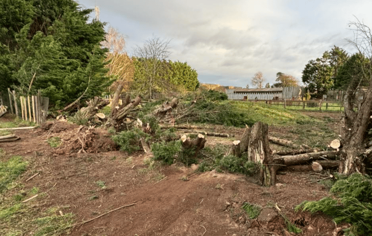 A row of trees screening Tropiquria was lost as Storm Darragh ht West Somerset.