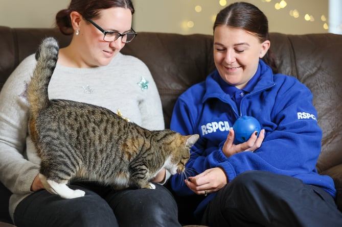 Inspector Rachel Whalley visiting Freya in her new home