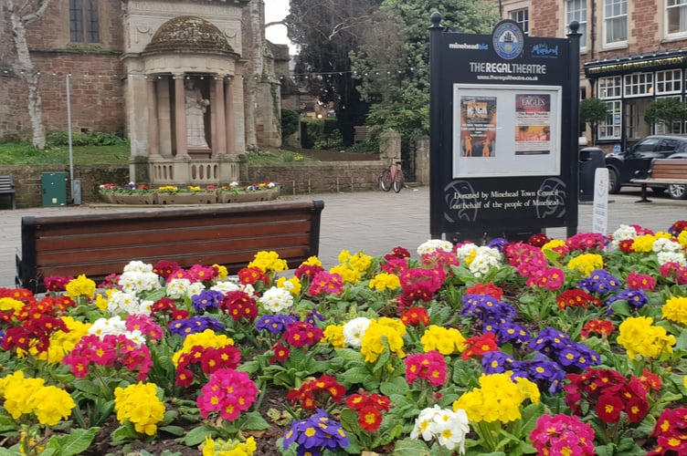 Flower beds in Minehead are to become more sustainable as the town council adopts a new planting strategy.