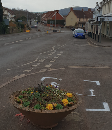 Flower tubs such as this one in Alcombe, Minehead, are set to have more permanent bedding plants.