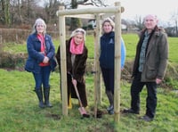 Group helped on tree planting scheme to restore rare butterflies by MP