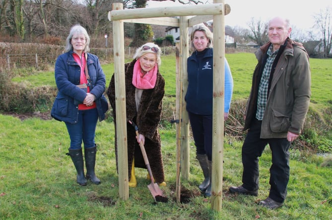 MP Rachel Gilmour has been assisted conservation groups on the Quantocks with a tree-planting project to restore rare wildlife