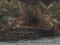 Beach fossil hunters film cliff collapsing