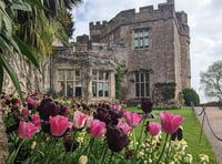 Watch colour wash over the garden at Dunster Castle this spring