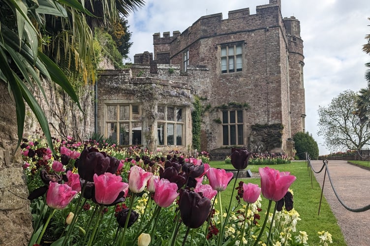 Dunster Castle in the spring (Photo: Hattie Pinches, National Trust)